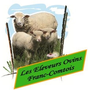 Illustration de l'actualité